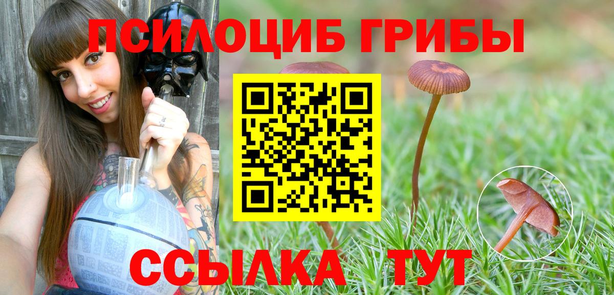 Галлюциногенные грибы MAGIC MUSHROOMS Киселёвск