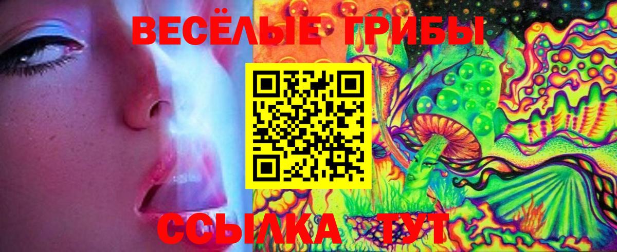 Галлюциногенные грибы Magic Shrooms  Вход с VPN  Киселёвск 