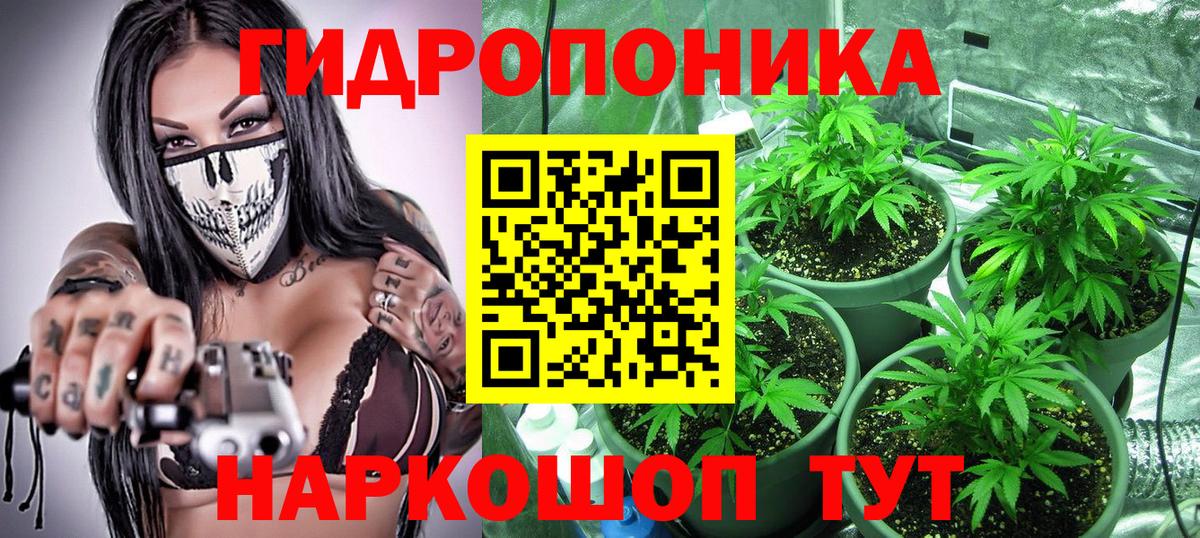 Канабис OG Kush  Вход с VPN  Марихуана планчик  Киселёвск 